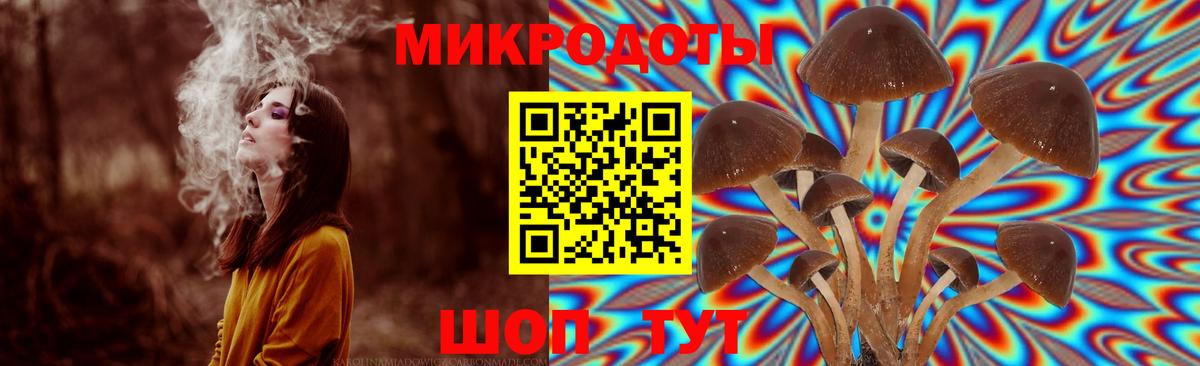Псилоцибиновые грибы MAGIC MUSHROOMS  Вход с VPN  Гай 