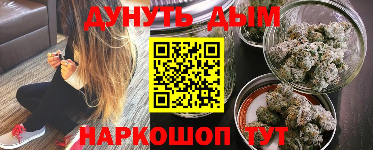 Бошки Шишки семена Гай
